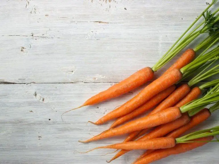 Can Carrots Cure Astigmatism?